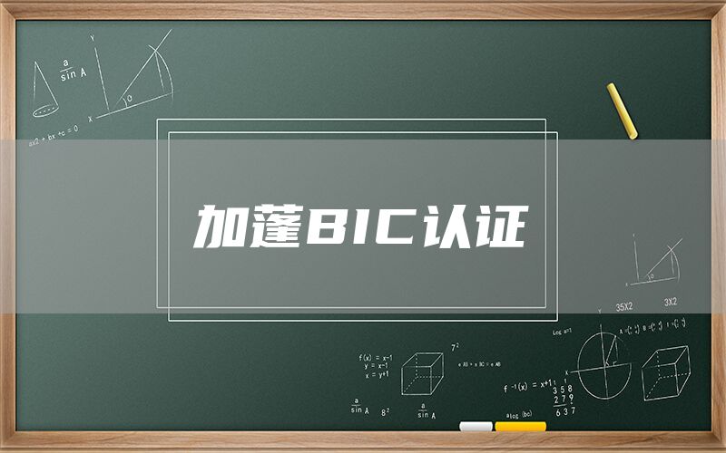 BIC֤(ͼ1)