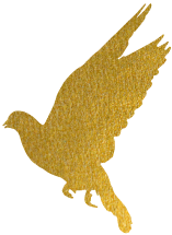 ذּCNAS(ͼ1)