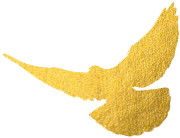 ذּCNAS(ͼ2)